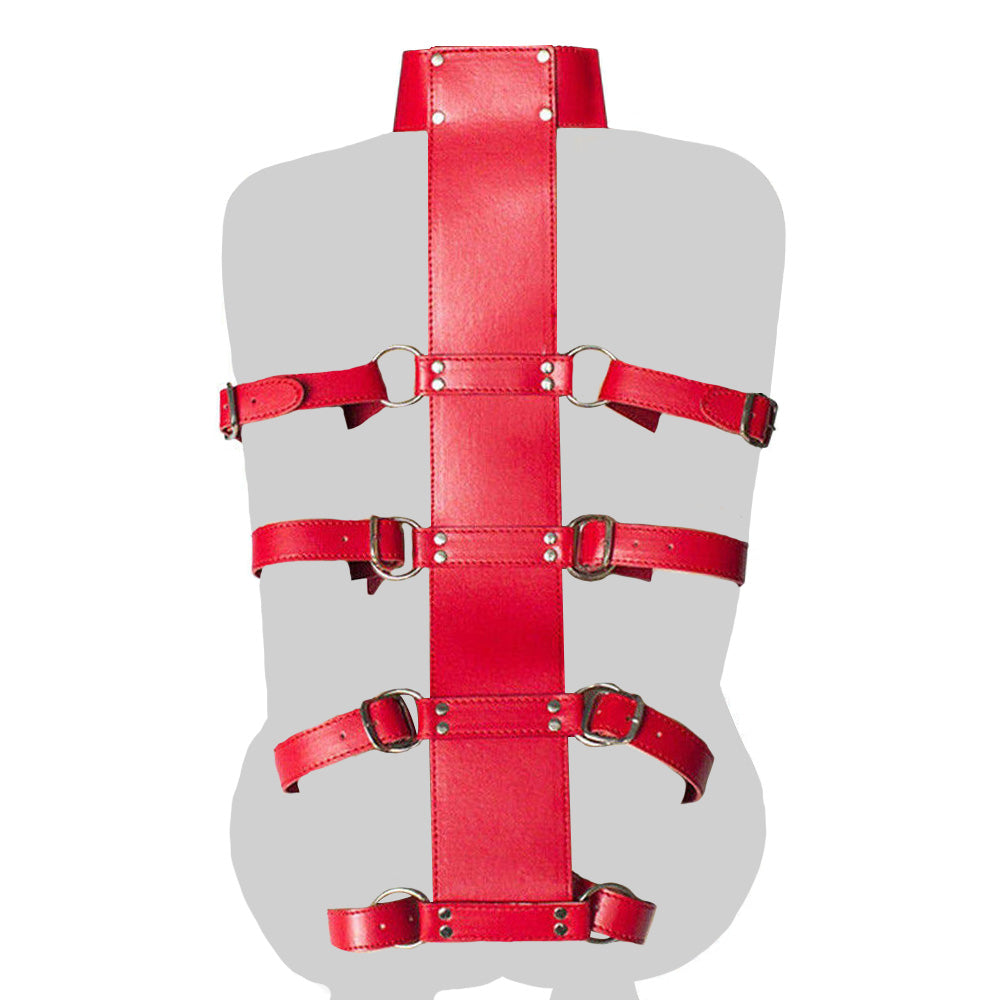 4 Strap Armbinder Trainer with Collar Set