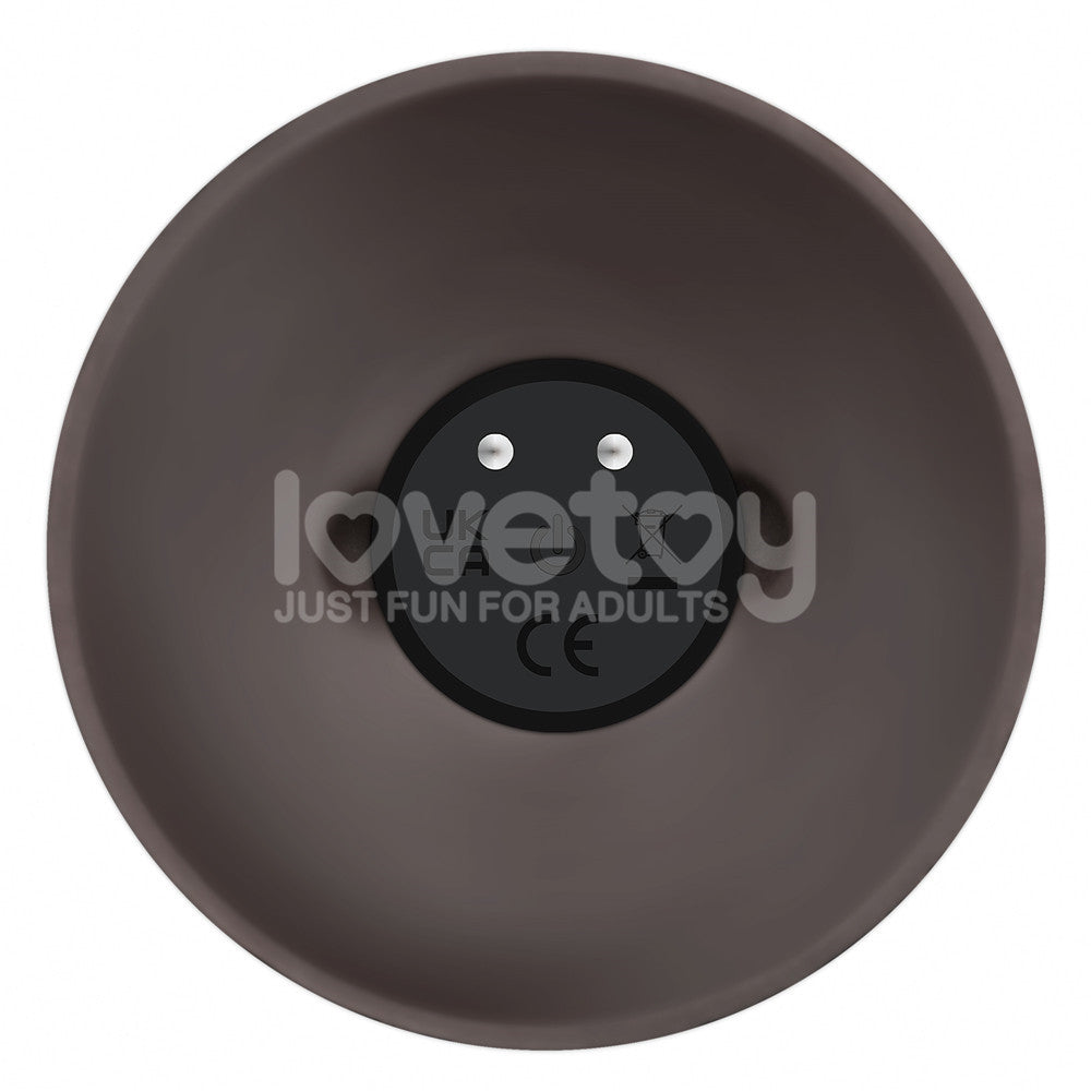Lovetoy Remote Control Rechargeable Vibrating Sliding Skin Pro II Silicone Dildo 9 inch