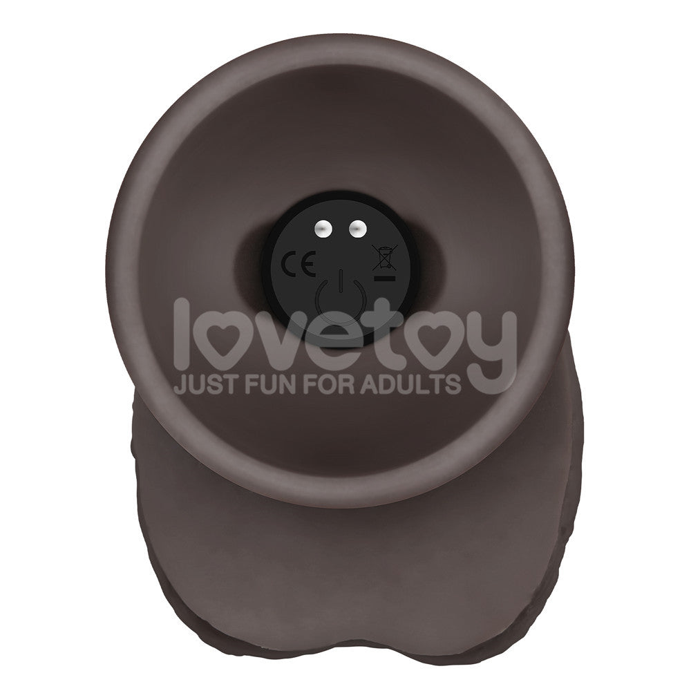 Lovetoy Remote Control Rechargeable Vibrating Sliding Skin Pro II Silicone Dildo 10 inch