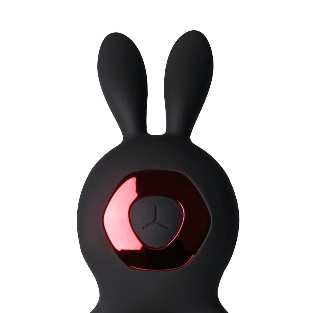 Remote Control Rechargeable Silicone Vibrating Double Rabbit Cock Ring 10 Function