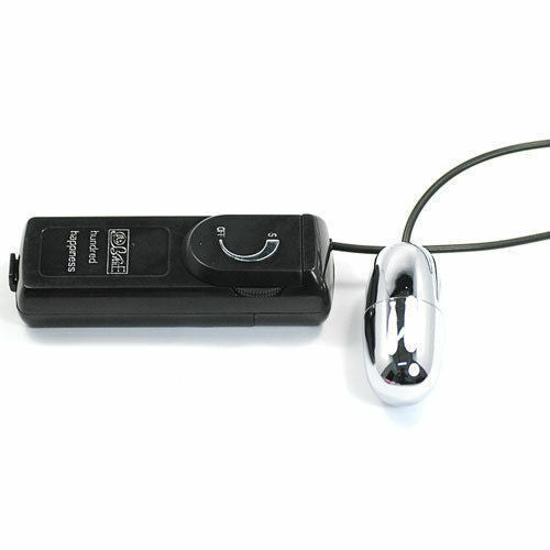 Silver Vibrating Egg II with Remote