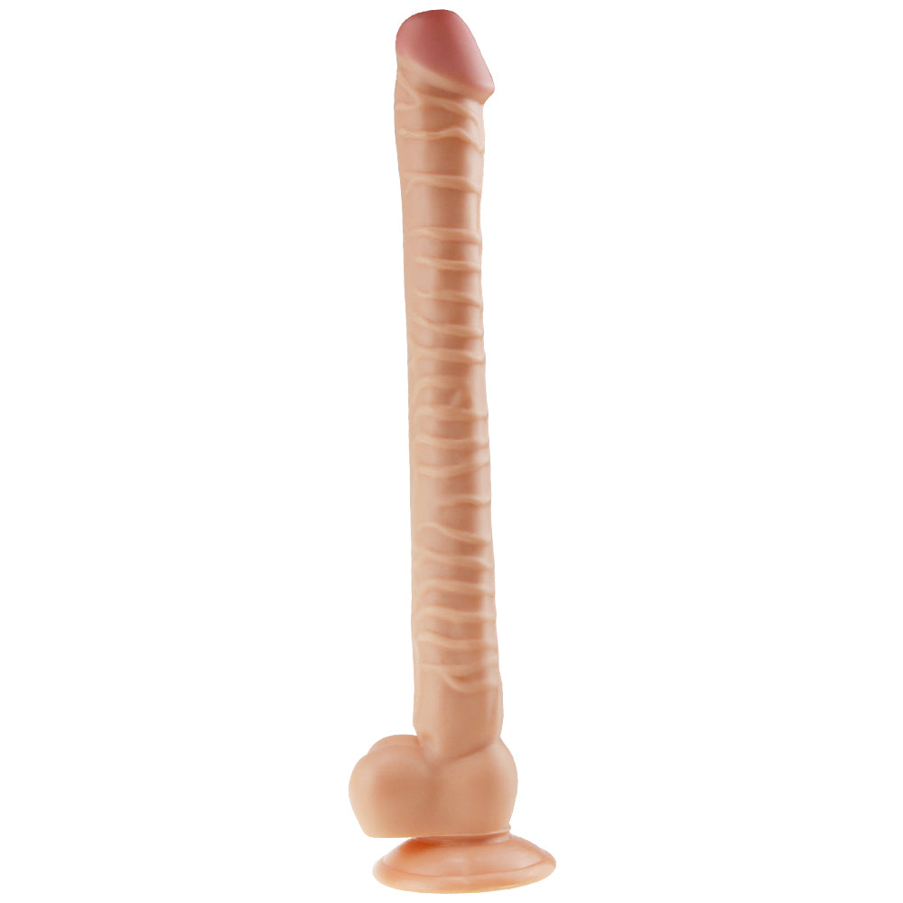 Realistic Sunction Cup Dildo with Balls 15 inch (Multiple Colors)