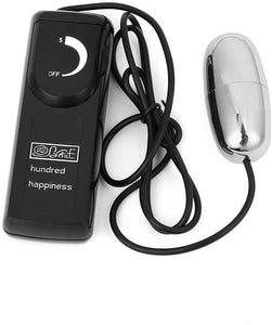 Silver Vibrating Egg with Remote