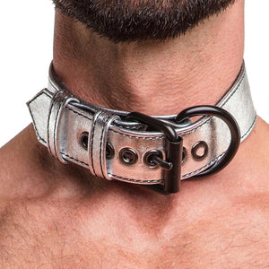 Lovetoy Bondage Fetish Metallic Pup Collar with Leash