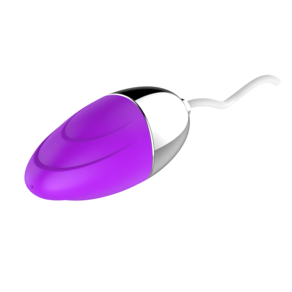 Double Vibrating Eggs with Penis Shape Vibrator, 12 Speed