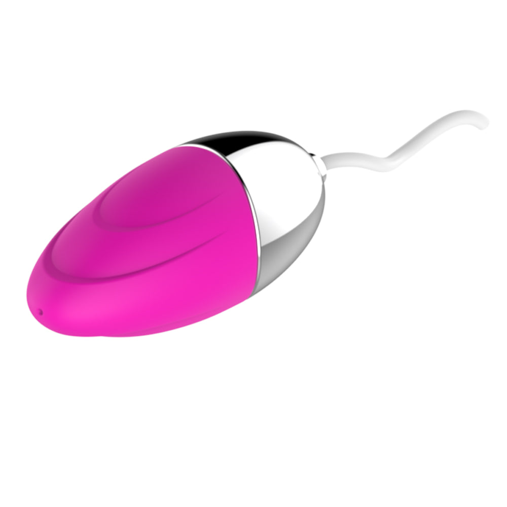 Double Vibrating Eggs with Penis Shape Vibrator, 12 Speed