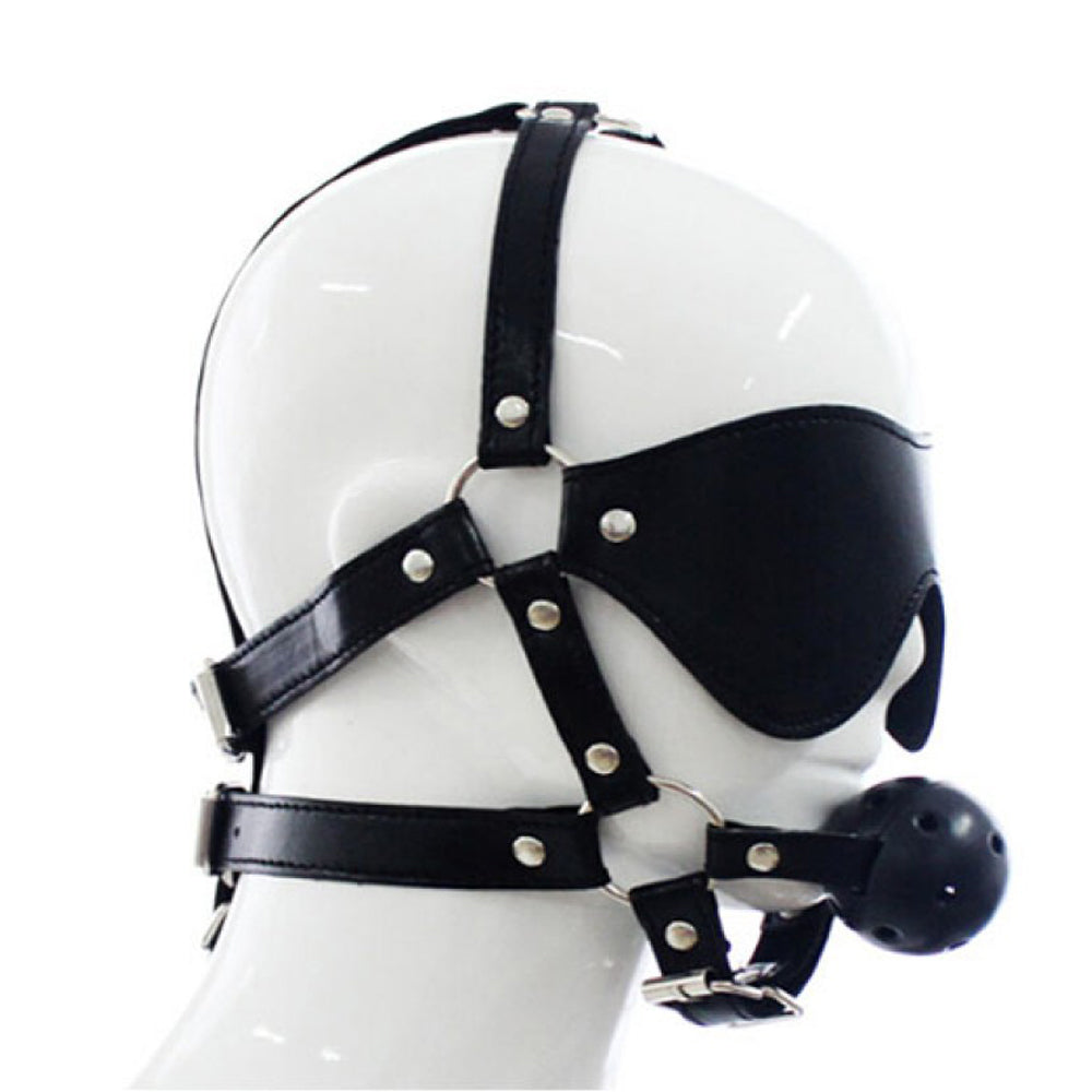 Bondage Blindfold & Ball Gag