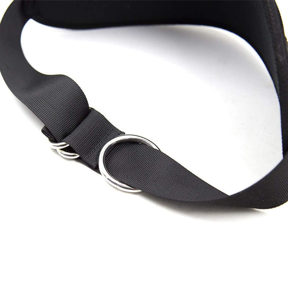 Body Harness with Arm & Thigh Restraint (Detachable)