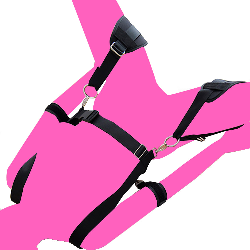 Body Harness with Arm & Thigh Restraint (Detachable)