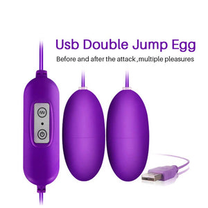 Dual USB Powered Eggs, 12 Speed