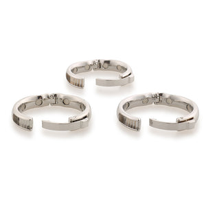 Stainless Steel Magnetic Penis Ring with Buckle (Multiple Sizes)