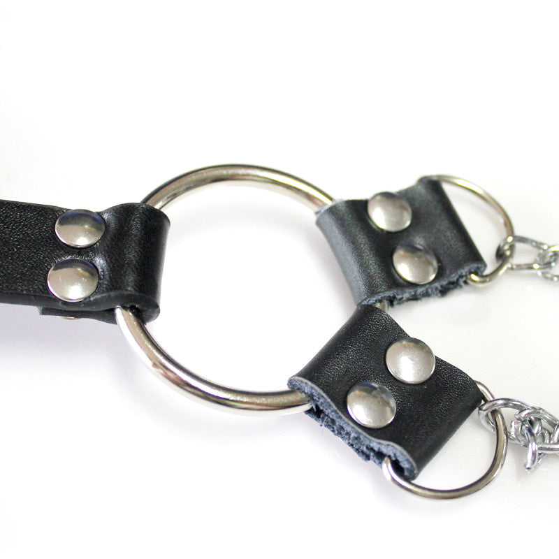 Adjustable Nipple Clamps and Cock Ring Chain Set