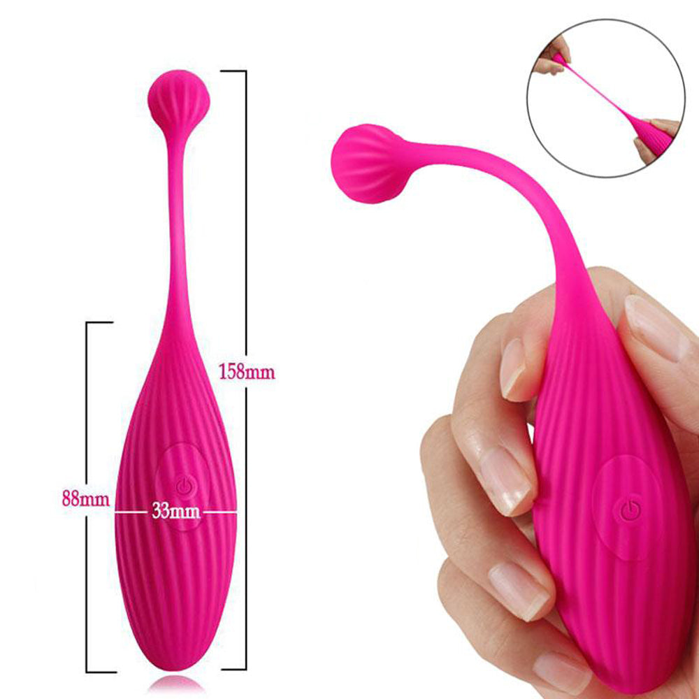 Egg Wearable Vibrator with Remote, 10 Function