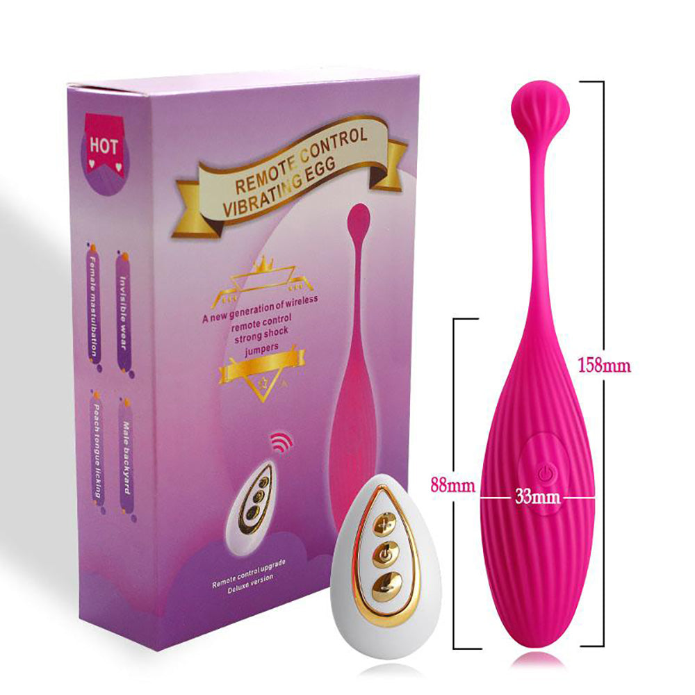 Egg Wearable Vibrator with Remote, 10 Function