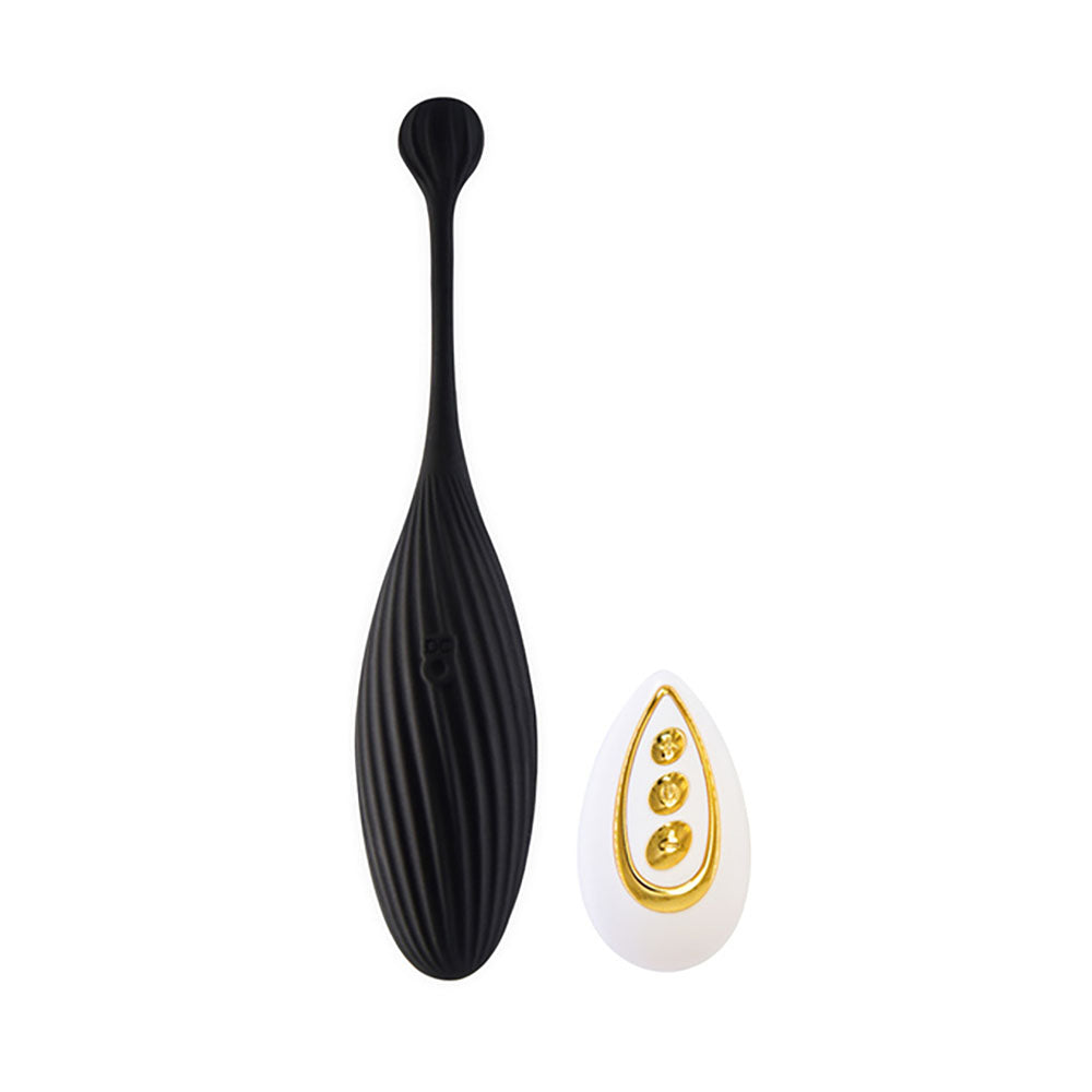 Egg Wearable Vibrator with Remote, 10 Function