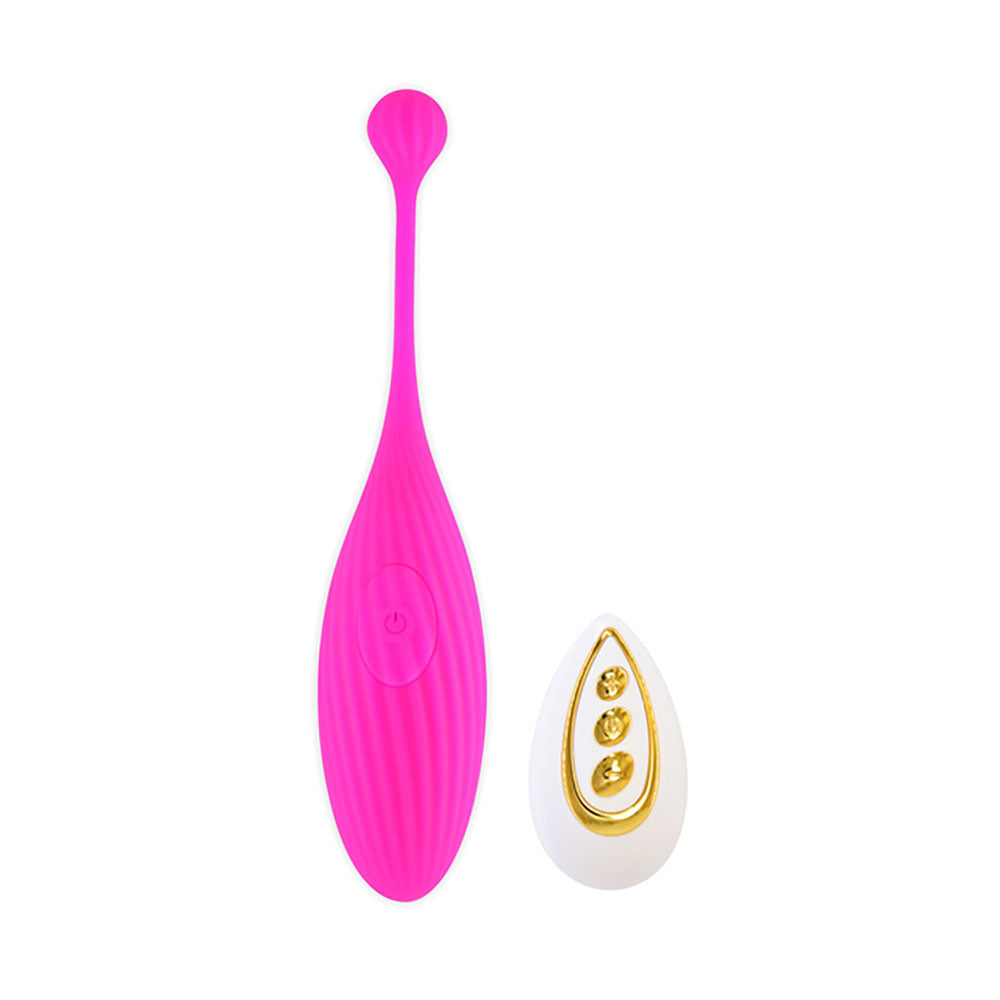 Egg Wearable Vibrator with Remote, 10 Function