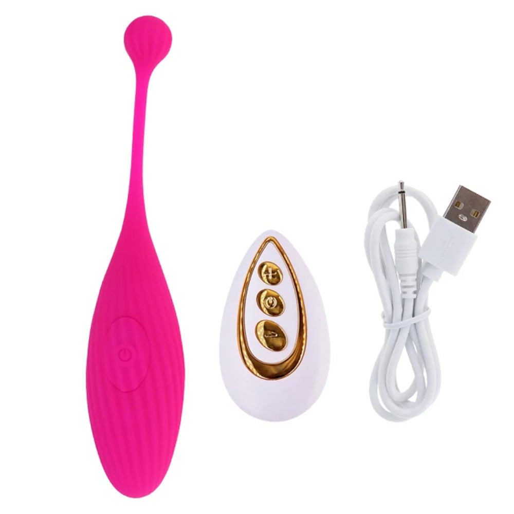 Egg Wearable Vibrator with Remote, 10 Function