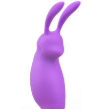 Load image into Gallery viewer, B1 Silicone Vibrating Love Bullet Rabbit, 20 Function