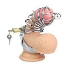 Load image into Gallery viewer, Lovetoy Penetration Metal Chastity Cage