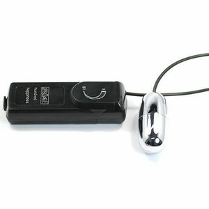 Silver Vibrating Egg with Remote
