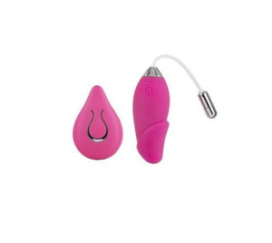 Vibrating Penis Love Egg Vibrator with Remote, 10 Function