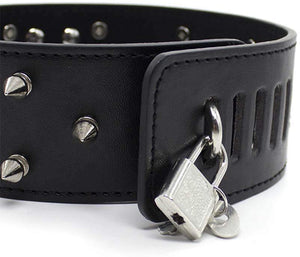 Spike & Skull Collar and Leash (H)