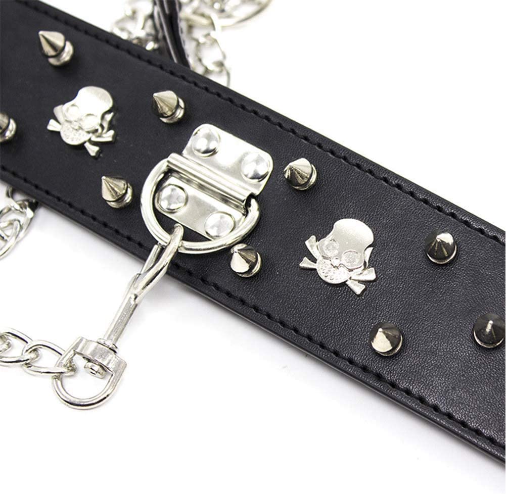 Spike & Skull Collar and Leash (H)