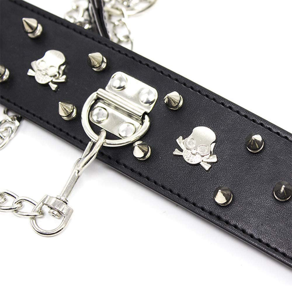 Spike & Skull Collar and Leash (H)