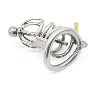 Chastity Cage with Urethral Plug